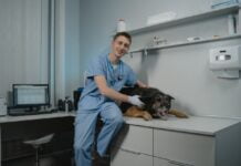 BVSc - Bachelor of Veterinary Science पूरी जानकारी