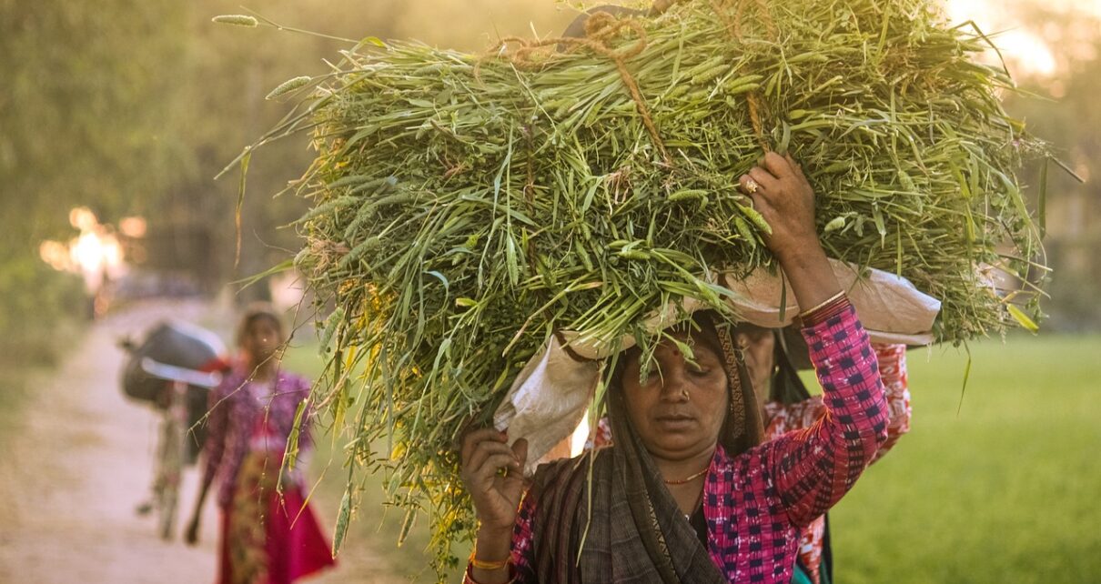 पीएम आवास योजना ग्रामीण