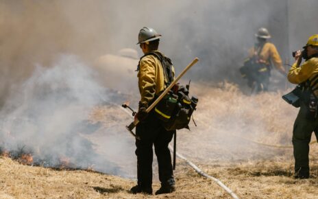 Diploma in Fire and Safety Management क्या है ?